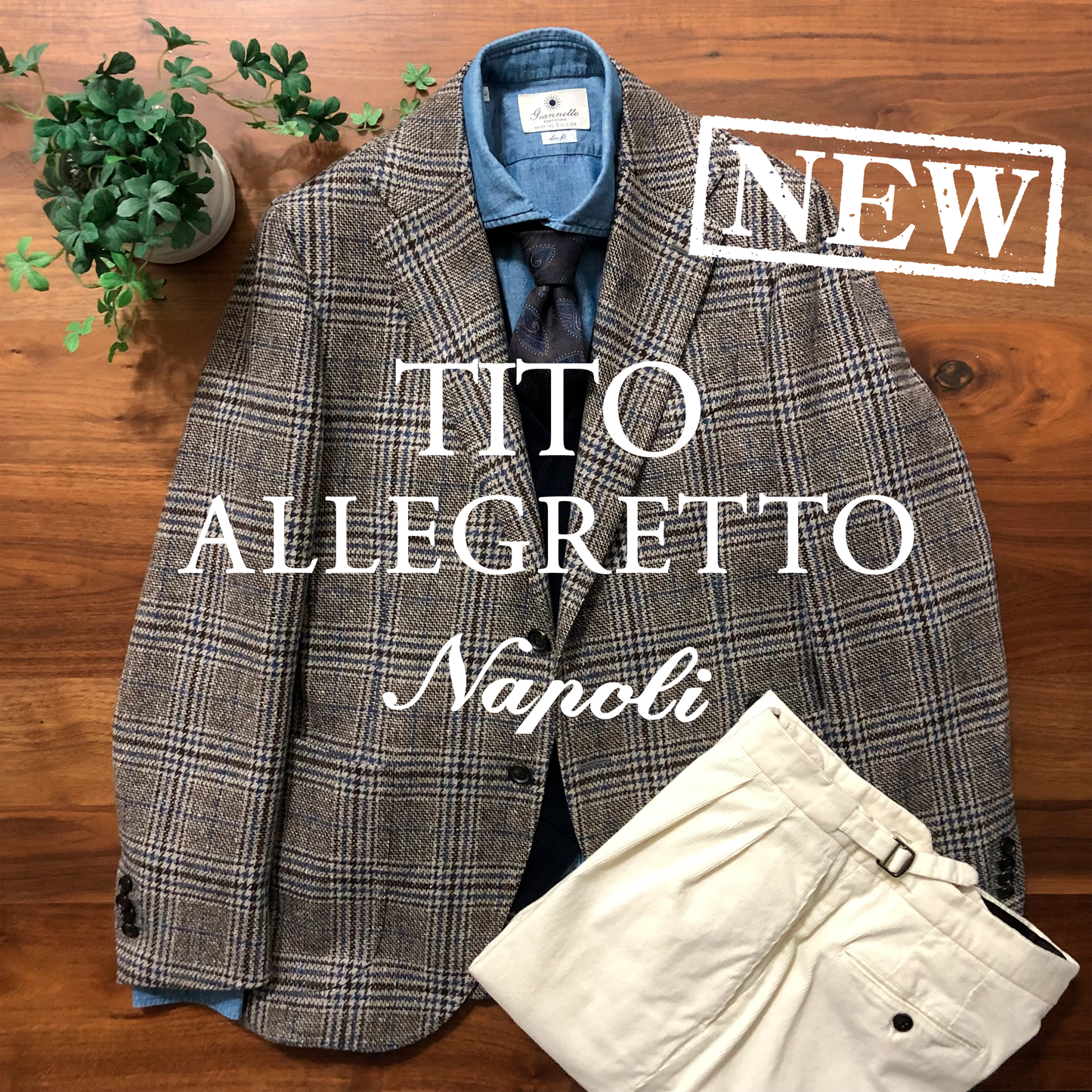 TITO ALLEGRETTOウィンドウペンジャケット48ティット