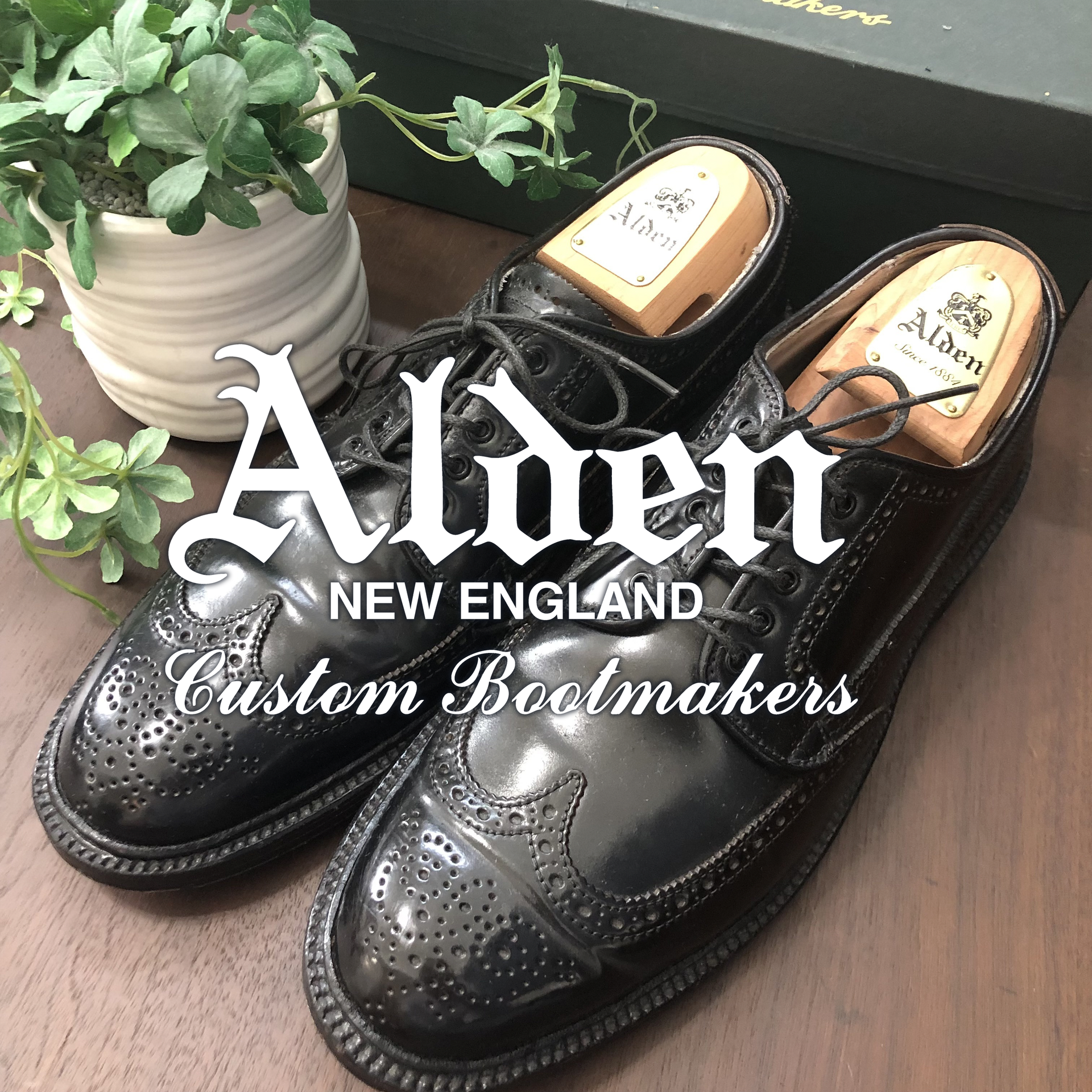 【超美品】Aldenオールデン31851ブラックコードバン 8 Aldenオールデン31851ブラックコードバン 8 – AZZURRO